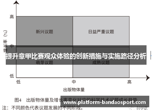 提升意甲比赛观众体验的创新措施与实施路径分析