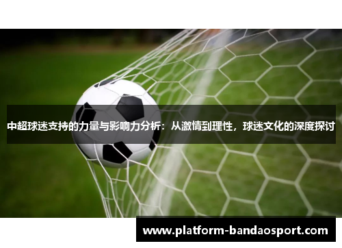 中超球迷支持的力量与影响力分析：从激情到理性，球迷文化的深度探讨