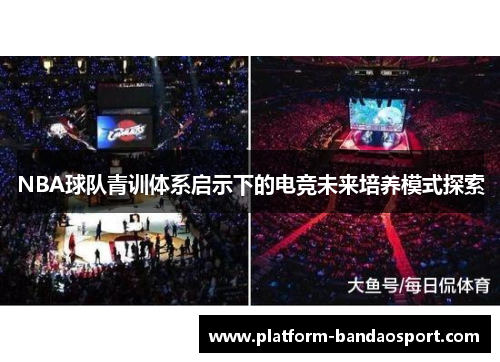 NBA球队青训体系启示下的电竞未来培养模式探索
