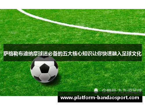 萨格勒布迪纳摩球迷必备的五大核心知识让你快速融入足球文化