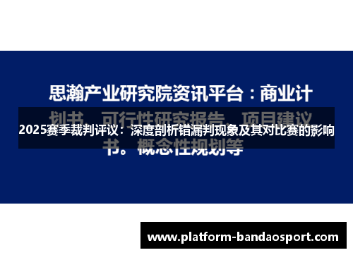 2025赛季裁判评议：深度剖析错漏判现象及其对比赛的影响