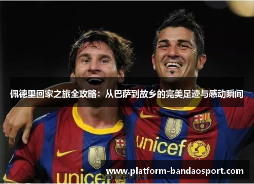 佩德里回家之旅全攻略：从巴萨到故乡的完美足迹与感动瞬间