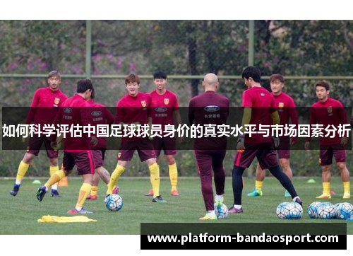 如何科学评估中国足球球员身价的真实水平与市场因素分析