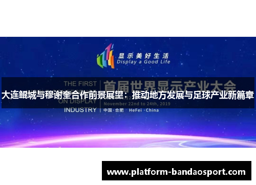 大连鲲城与穆谢奎合作前景展望：推动地方发展与足球产业新篇章