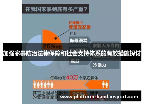 加强家暴防治法律保障和社会支持体系的有效措施探讨