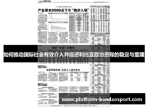 如何推动国际社会有效介入并促进利比亚政治进程的稳定与重建