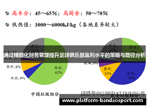 通过精细化财务管理提升足球俱乐部盈利水平的策略与路径分析
