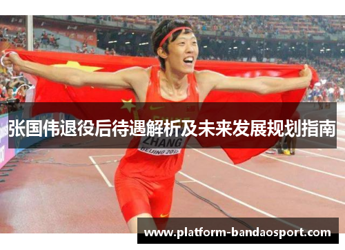 张国伟退役后待遇解析及未来发展规划指南