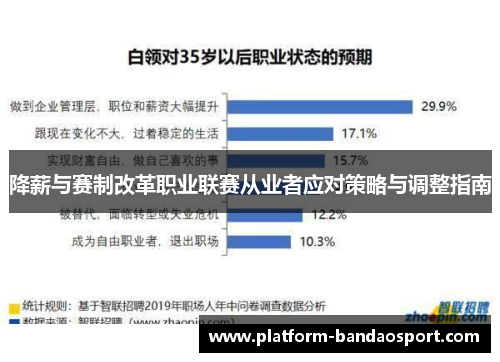 降薪与赛制改革职业联赛从业者应对策略与调整指南