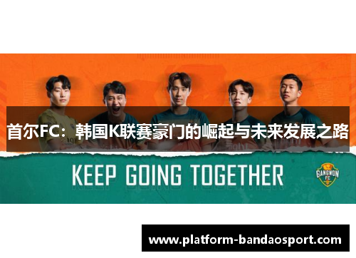 首尔FC：韩国K联赛豪门的崛起与未来发展之路