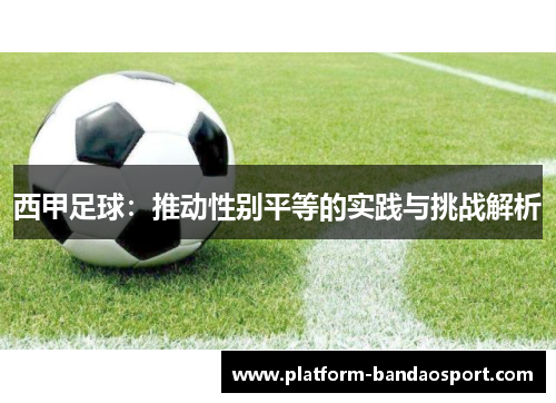 西甲足球：推动性别平等的实践与挑战解析