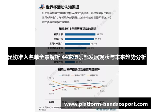 足协准入名单全景解析 44家俱乐部发展现状与未来趋势分析 足协准入名单全景解析 44家俱乐部发展现状与未来趋势分析
