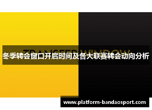 冬季转会窗口开启时间及各大联赛转会动向分析 冬季转会窗口开启时间及各大联赛转会动向分析