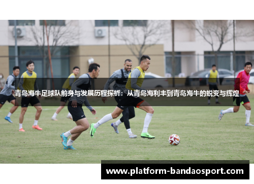 青岛海牛足球队前身与发展历程探析:从青岛海利丰到青岛海牛的蜕变与辉煌 青岛海牛足球队前身与发展历程探析:从青岛海利丰到青岛海牛的蜕变与辉煌