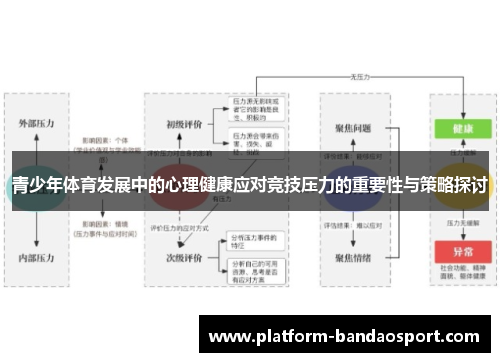 青少年体育发展中的心理健康应对竞技压力的重要性与策略探讨