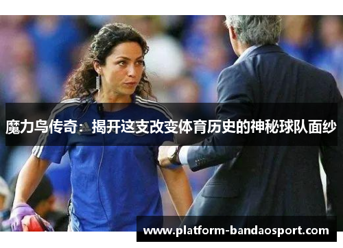 魔力鸟传奇：揭开这支改变体育历史的神秘球队面纱